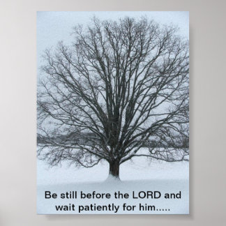 Poster A grande árvore de carvalho