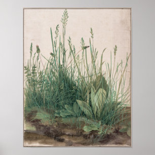 Pôster A Grande Peça de Turfe de Albrecht Durer