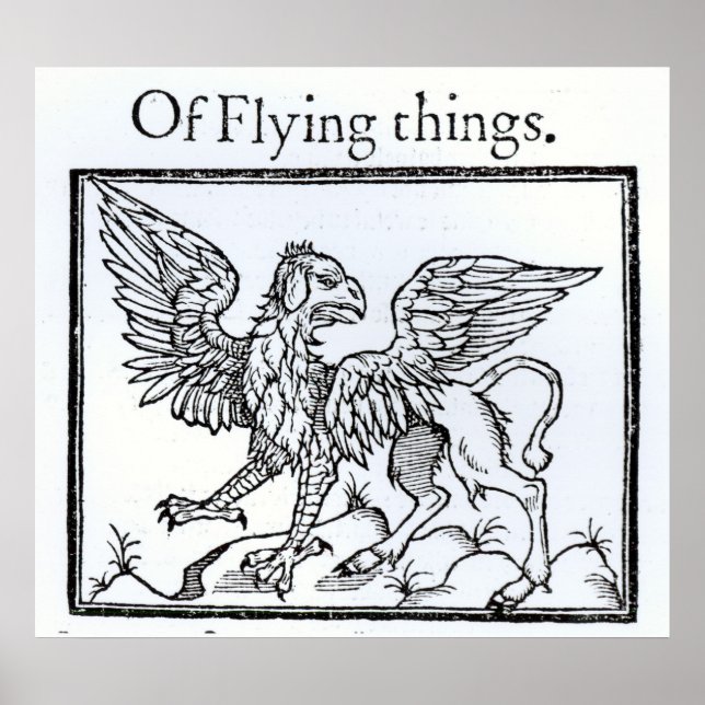 Pôster A Griffin (Frente)