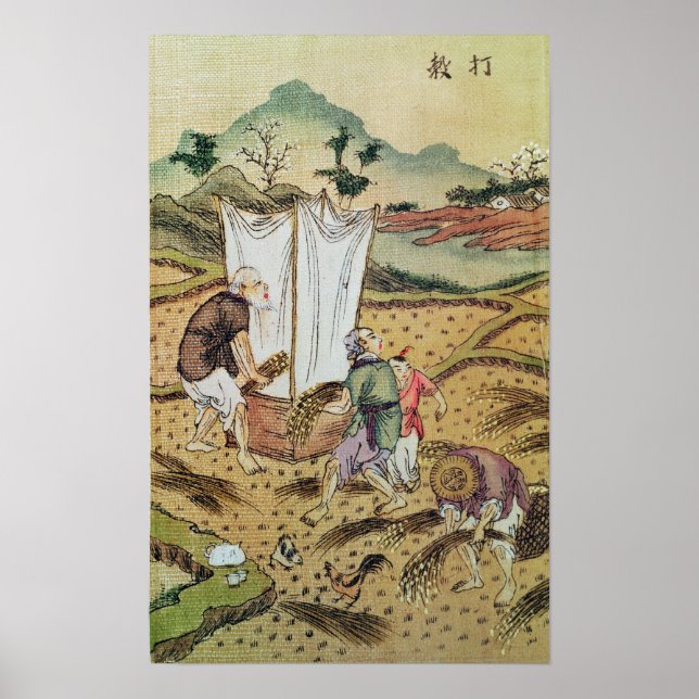 Poster A história do arroz (Frente)