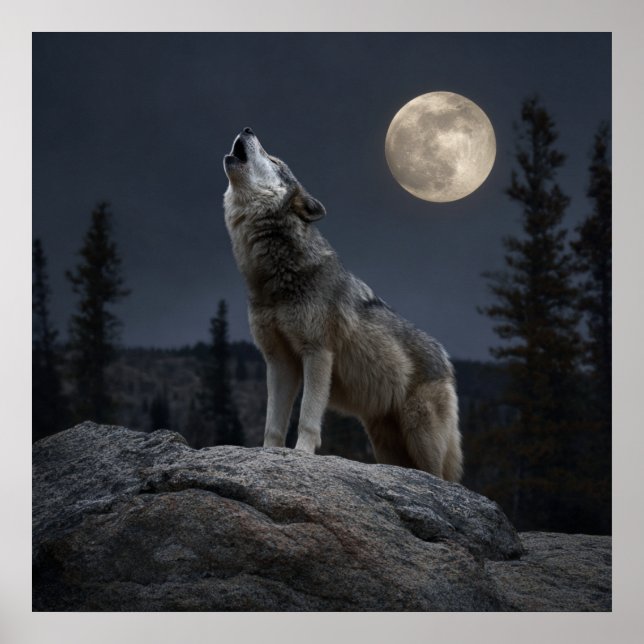 Poster A Howling Wolf (Frente)