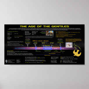 Poster A Idade da Gentil