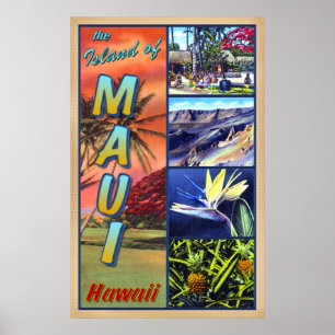 Pôster A ilha de Maui Havaí