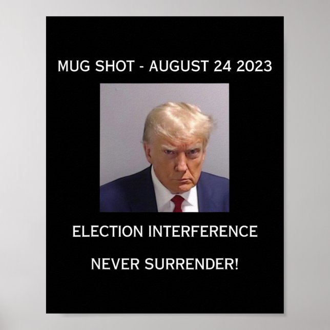 Poster A Interferência De Eleição De Foto Nunca Se Rende! (Frente)