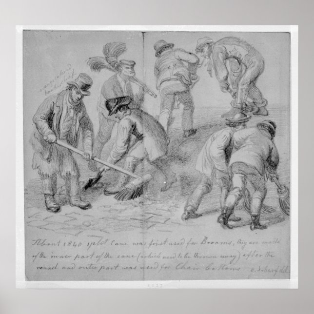 Poster A introdução de vassouras de cana fracionadas (Frente)