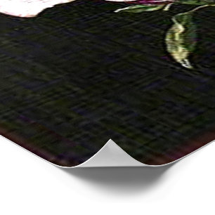 Poster A Japanese Magnolia