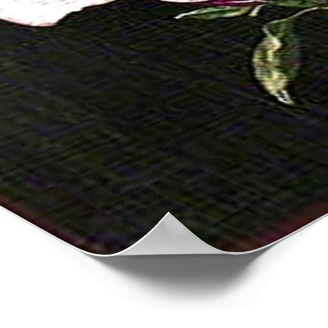 Poster A Japanese Magnolia (Borda)