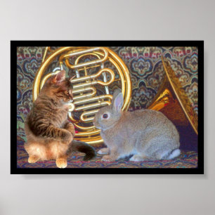 Pôster A Kitten, a Bunny and a French Horn