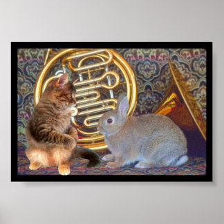 Pôster A Kitten, a Bunny and a French Horn