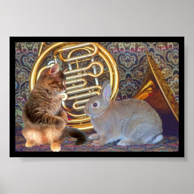 Pôster A Kitten, a Bunny and a French Horn (Frente)