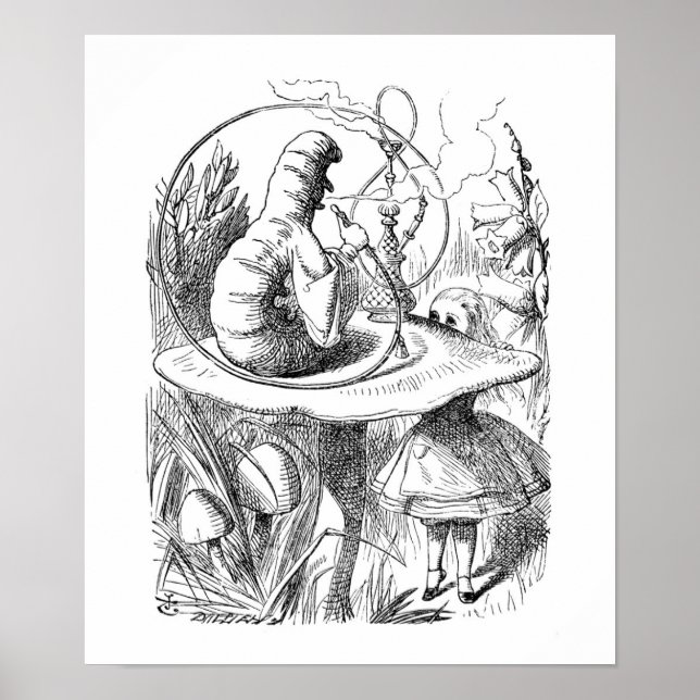 Pôster A lagarta (Frente)