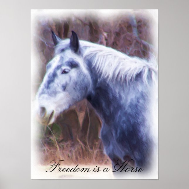 Pôster A liberdade é um cavalo (Frente)