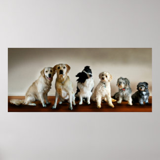 Pôster A Linha Para Cima