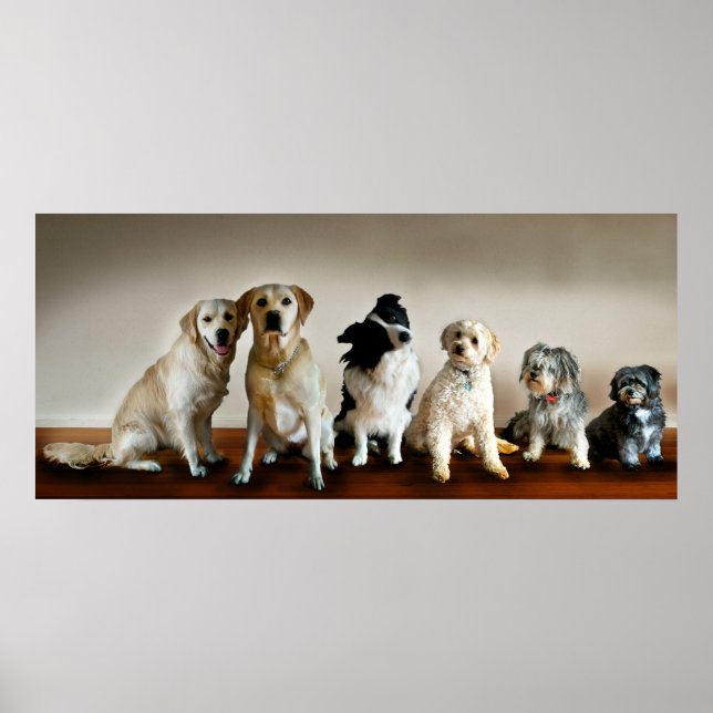 Pôster A Linha Para Cima (Frente)