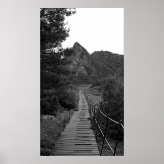 Pôster A longa jornada