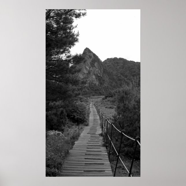 Pôster A longa jornada (Frente)