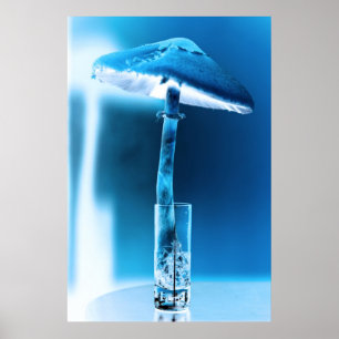 Pôster A Luz Funca da Natureza