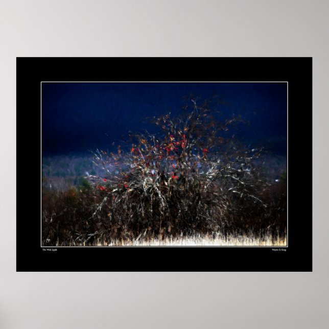 Poster A Maçã Selvagem (Frente)