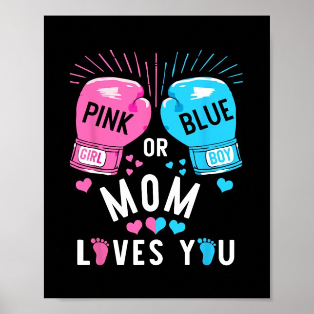 Poster A Mãe Rosa Ou Azul Te Ama A Vingança De Gênero Pa (Frente)