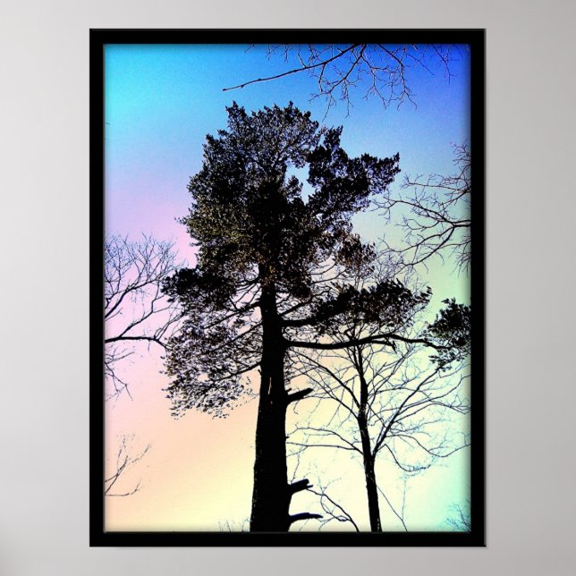 Pôster A maior árvore (Frente)