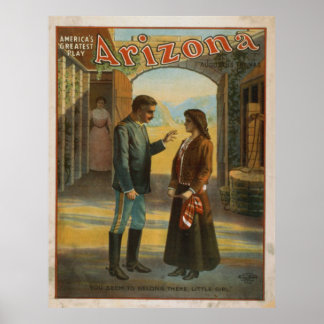 Poster A maior jogada da América arizona