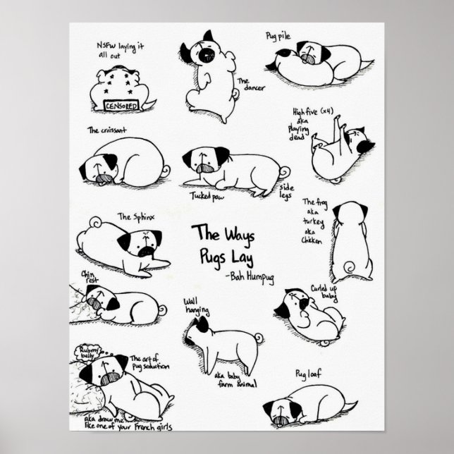 Pôster A Maneira de Pugs Lay (Frente)