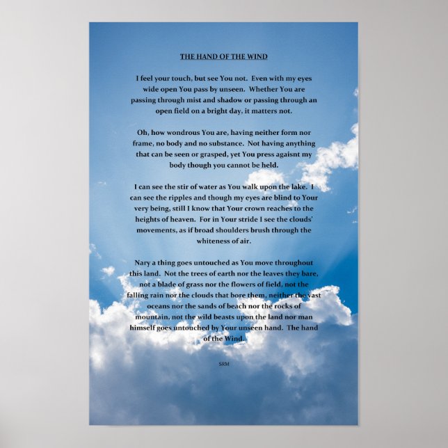 POSTER A MÃO DO VENTO (Frente)