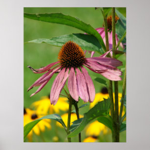 Pôster À medida que o jardim cresce