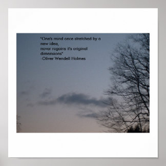 Pôster A mente de um