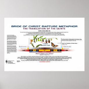 Poster A Metamorfose da Noiva do Cristo
