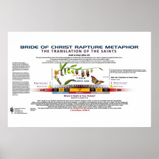 Poster A Metamorfose da Noiva do Cristo