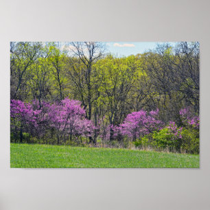 Poster A missão do Shawnee das árvores de Redbud da