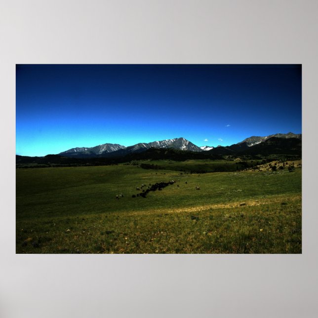 Poster A Montana Cattle Drive (Frente)