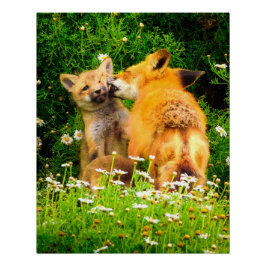 Pôster A Mother's Kiss Wildlife Nature Art Print