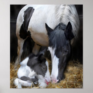 Pôster A Mother's Way Art