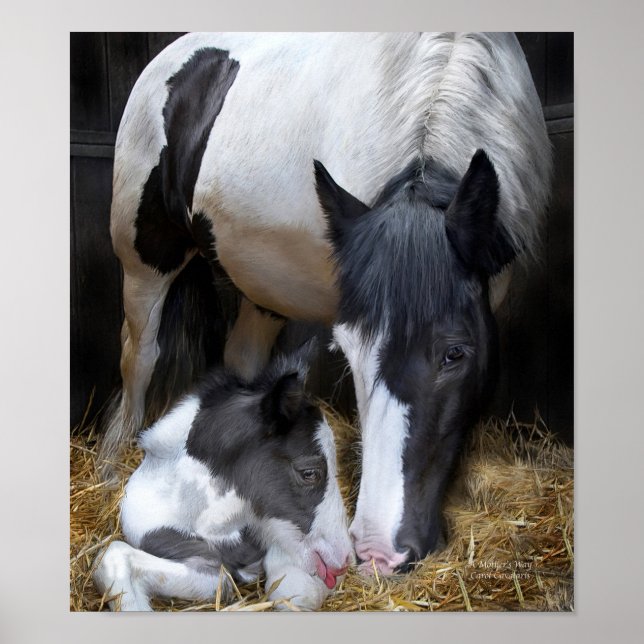 Pôster A Mother's Way Art (Frente)