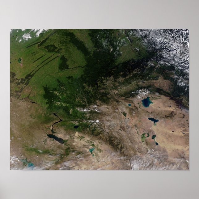 Pôster A mudança de vegetação (Frente)