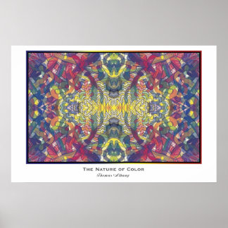 Pôster A Natureza da Cor