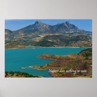Poster A natureza não faz nada em vão