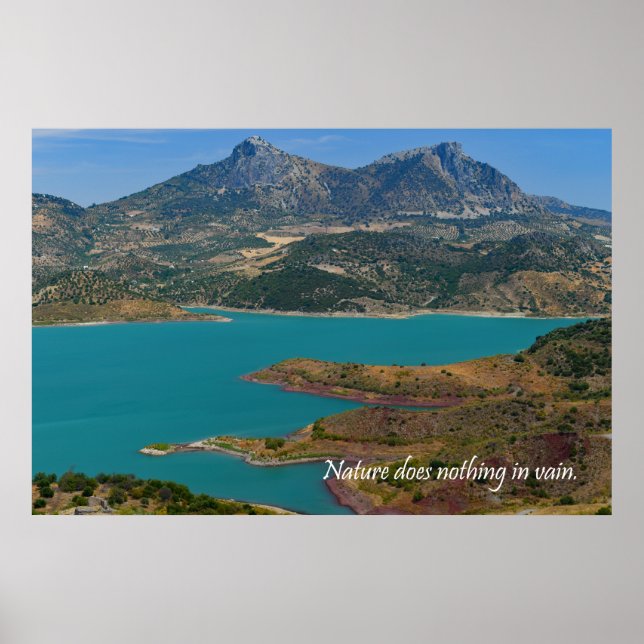 Poster A natureza não faz nada em vão (Frente)