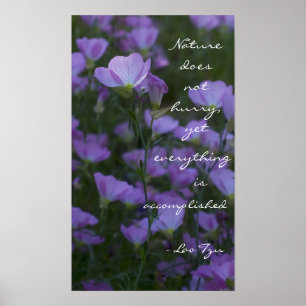 Pôster "A natureza não se apressa"