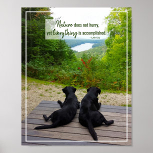 Poster A Natureza Não Se Apressa - Citação Inspirativa