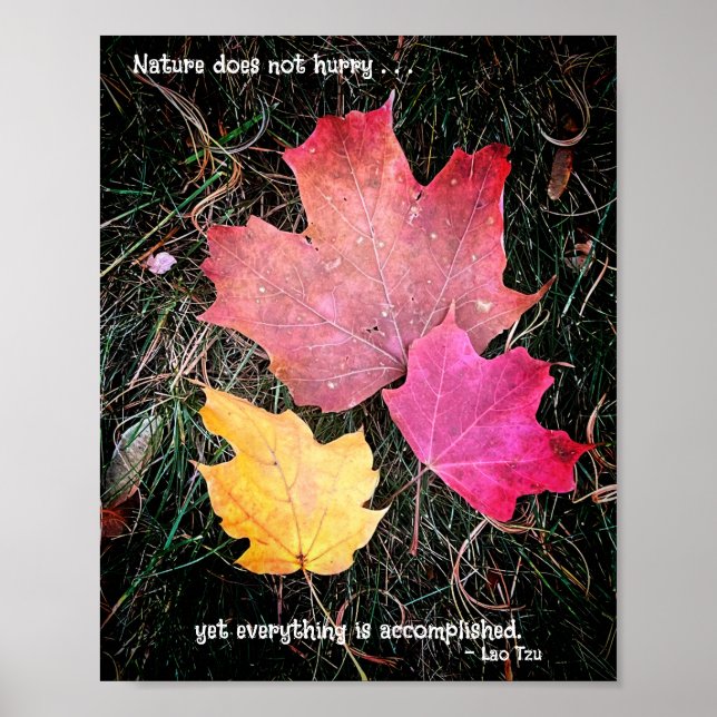 Poster A natureza não se apressa - tudo é realizado! (Frente)