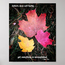 A natureza não se apressa - tudo está feito!