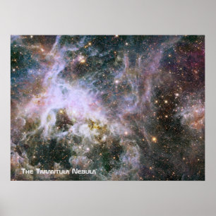 Pôster A nebulosa do Tarantula - quadro 4 com título