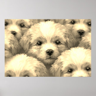 Poster A Ninhada de Cachorrinhos Loirinhos em uma Parede