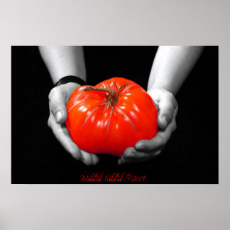 PÔSTER A OFERTA EM VERMELHO