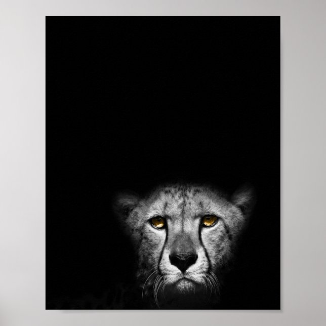 Poster A olhar, Leopardo, fotografia a preto e branco (Frente)