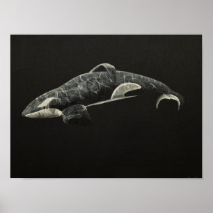 Pôster A orca