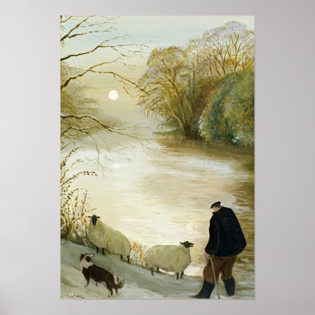 Pôster A Ovelha Estranha (Frente)